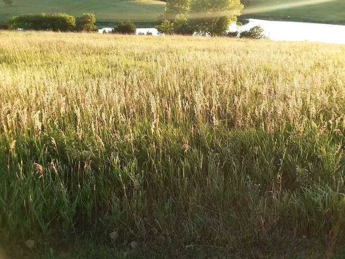 Redwood Area Campground Picture 9