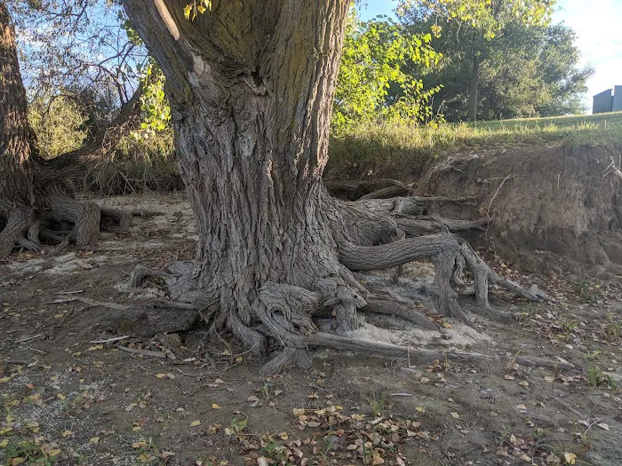 Ash Canyon Area Campground Picture 7