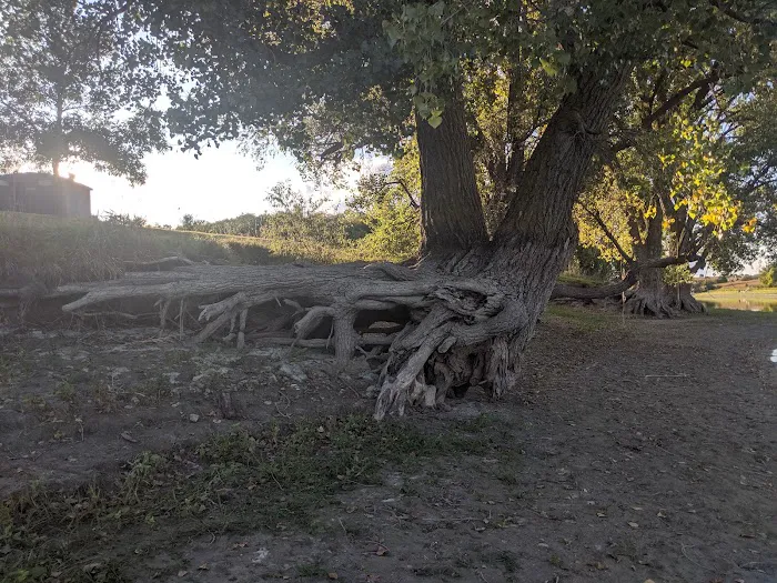 Ash Canyon Area Campground Picture 9