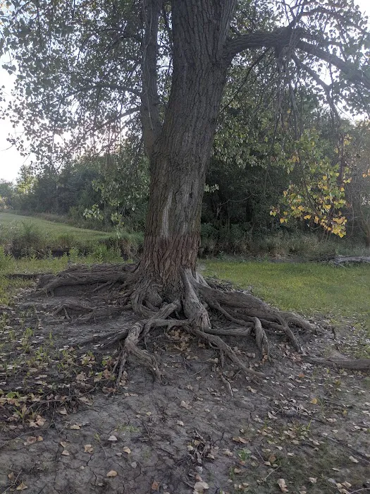 Ash Canyon Area Campground Picture 4