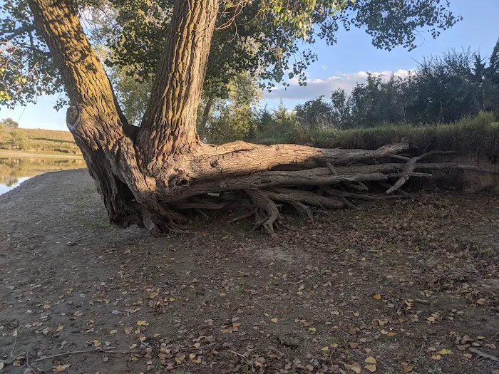 Ash Canyon Area Campground Picture 6