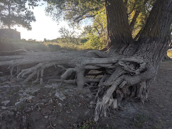 Ash Canyon Area Campground Picture 5