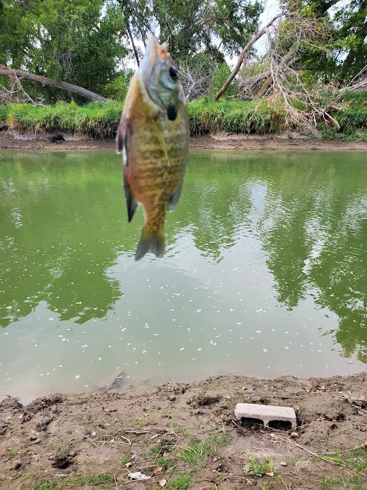Fishermans Bridge Area Campground Picture 4