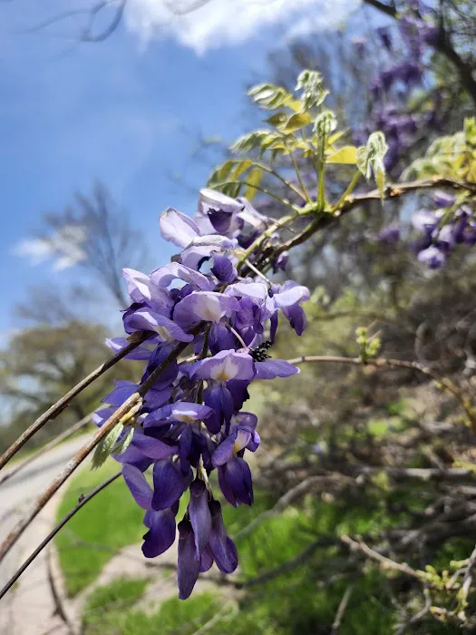 US Army Corps of Engineers Picture 1