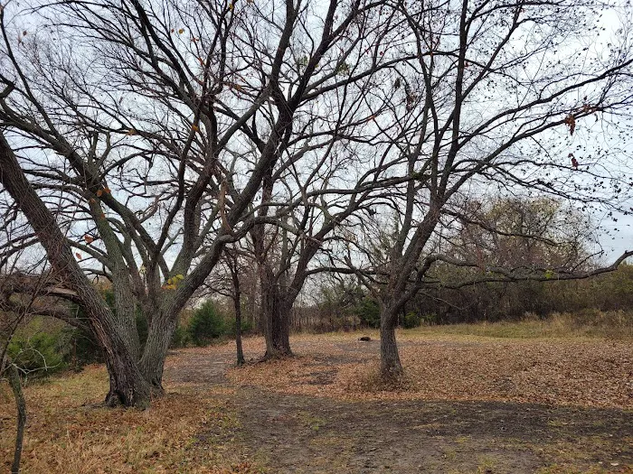 4R Top-O-the-Ridge Campsite Picture 10