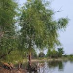 Couer d'Alene Park Campground