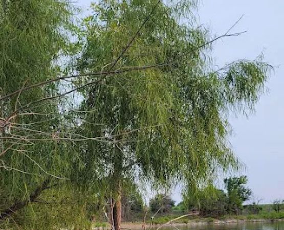 Couer d'Alene Park Campground