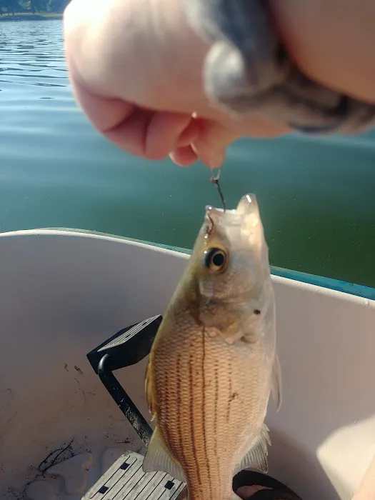 Outlet Park Campground Loop A Picture 1