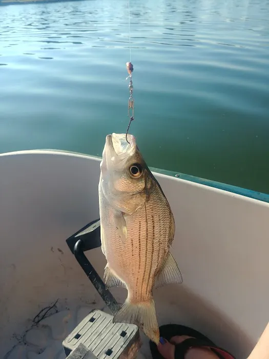 Outlet Park Campground Loop A Picture 9