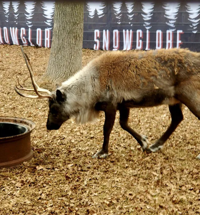 Norwood Station Picture 10