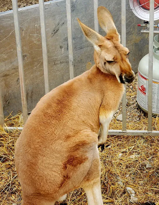 Norwood Station Picture 1