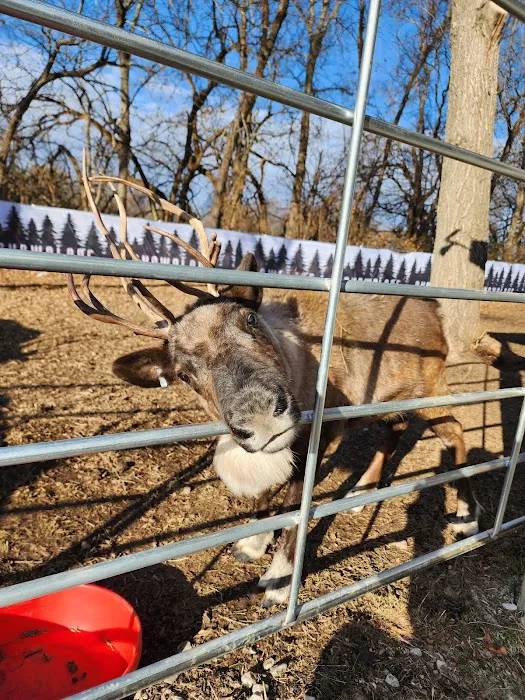 Norwood Station Picture 3