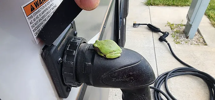 Sunflower Campground Picture 3