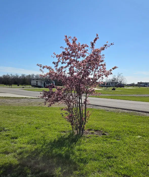 Sunflower Campground Picture 7