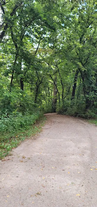 Lake Miola Campgrounds Picture 2