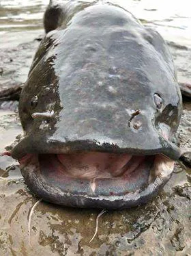 Linn Valley Lakes Picture 10