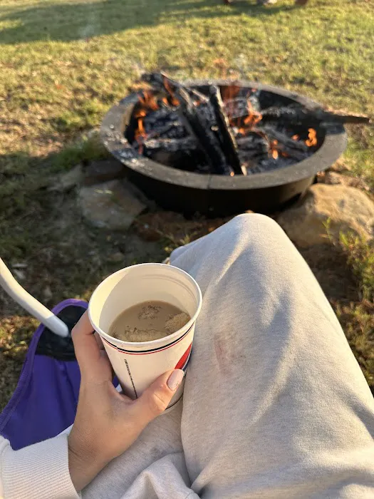 Elk Falls RV Park Picture 3