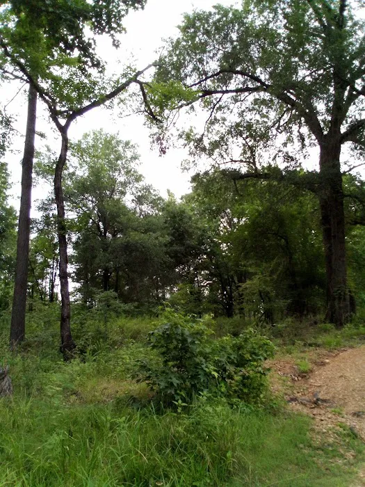 Hugo Lake Campground Picture 6