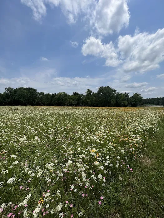 Hugo Lake Campground Picture 4
