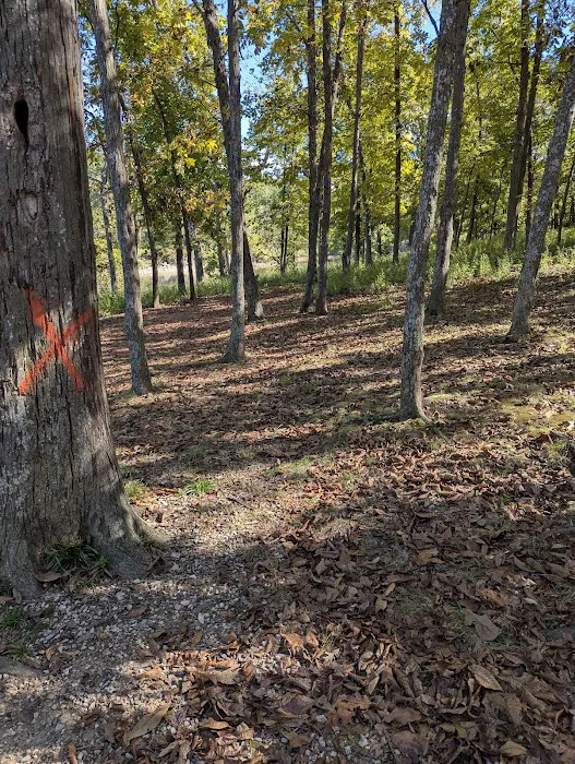 Cedar Ridge Park Campground Picture 4