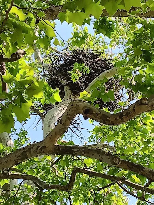 Needmore RV & Campground Picture 5