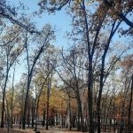 Crabtree Cove A Loop