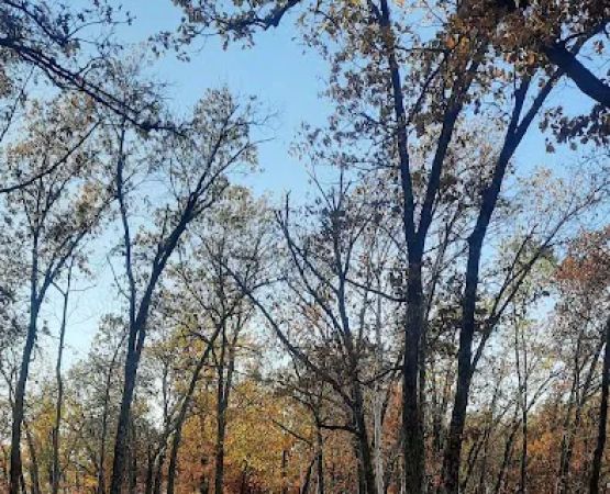 Crabtree Cove A Loop