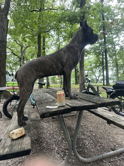 Crabtree Cove A Loop Picture 8