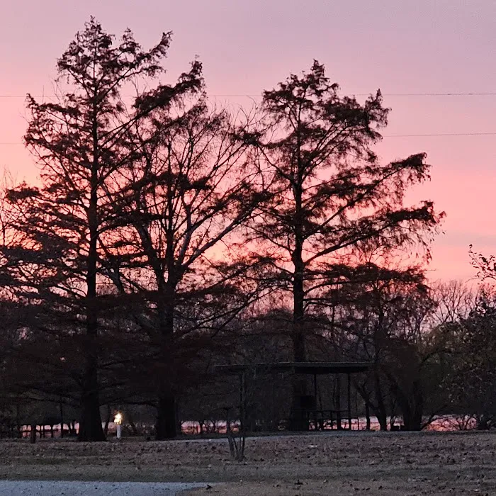 Hillsboro Cove Campground Picture 4