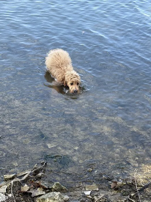 Hillsboro Cove Campground Picture 10