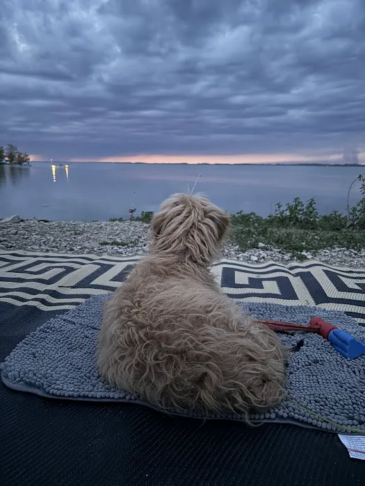 Hillsboro Cove Campground Picture 5