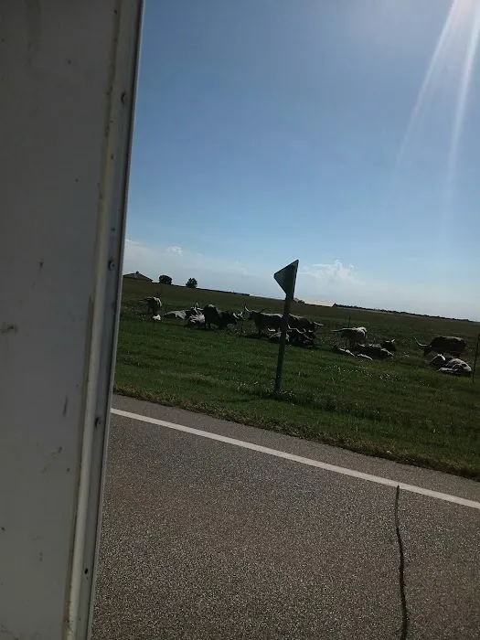 French Creek Cove Picture 5