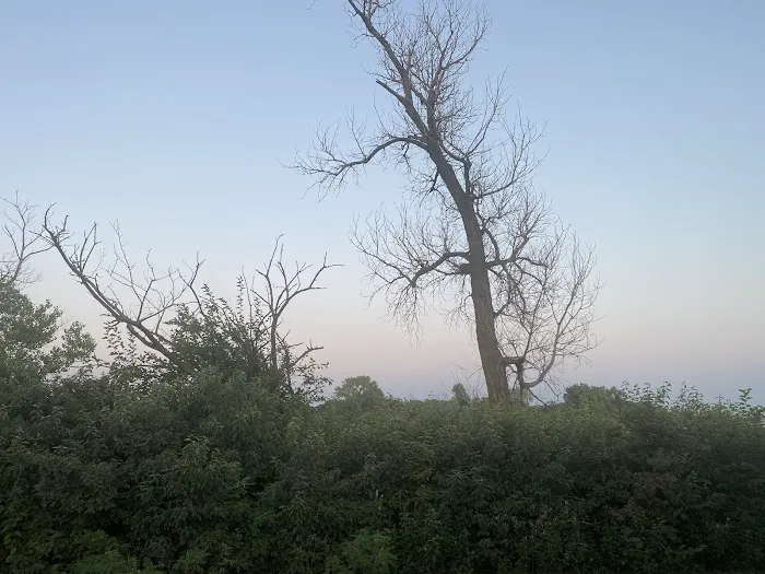 Cottonwood Point Campground Picture 6