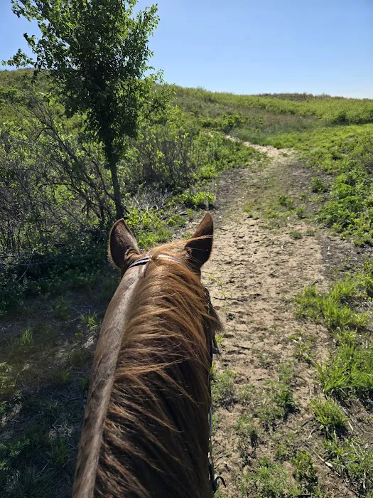 Sand Hills Campground Picture 3