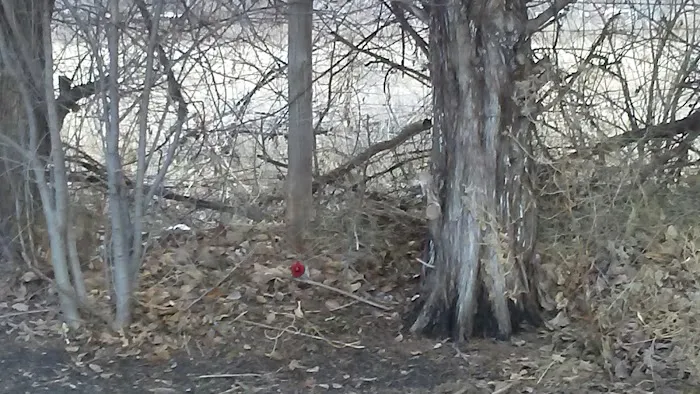 Melody Acres Rv Park Picture 8