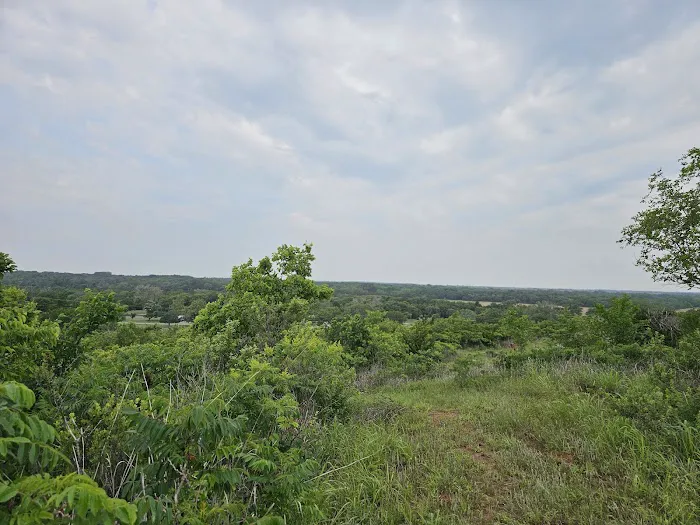 River Road Campground Picture 5