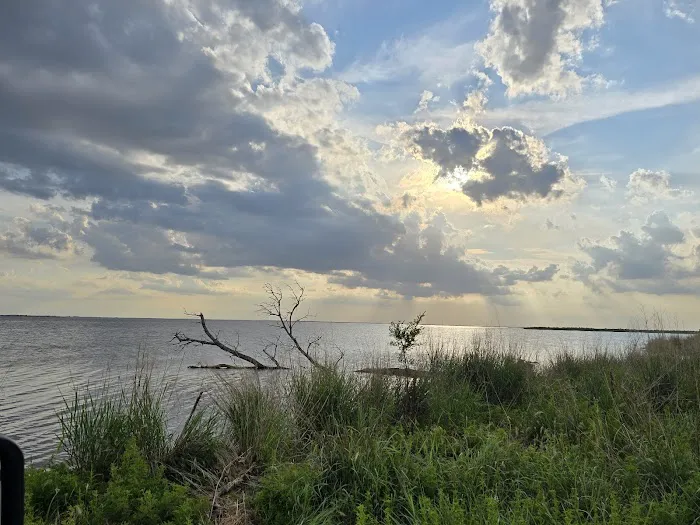 River Road Campground Picture 2