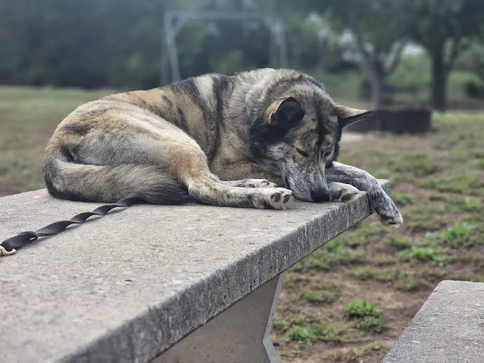 Sandy Beach West Campground Picture 6