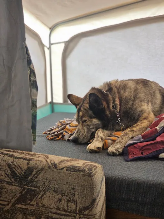 Sandy Beach West Campground Picture 3