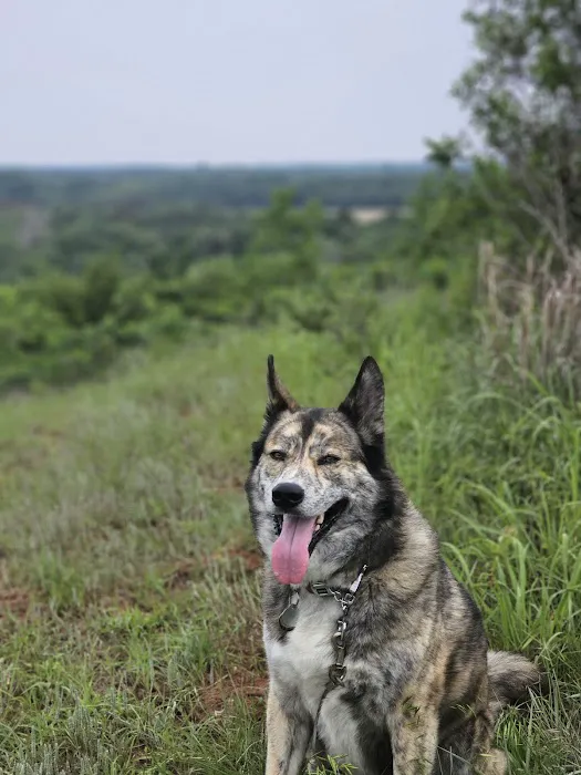 Sandy Beach West Campground Picture 1