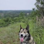 Sandy Beach West Campground