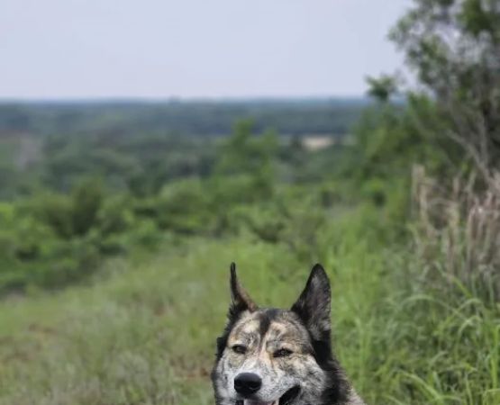 Sandy Beach West Campground