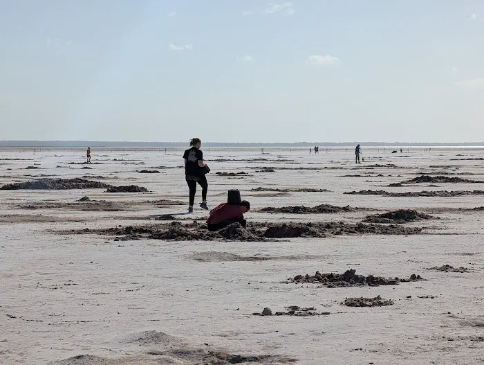 North Spillway Campground Picture 2