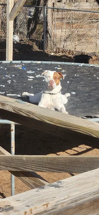 Kingman State Fishing Lake Campground Picture 3