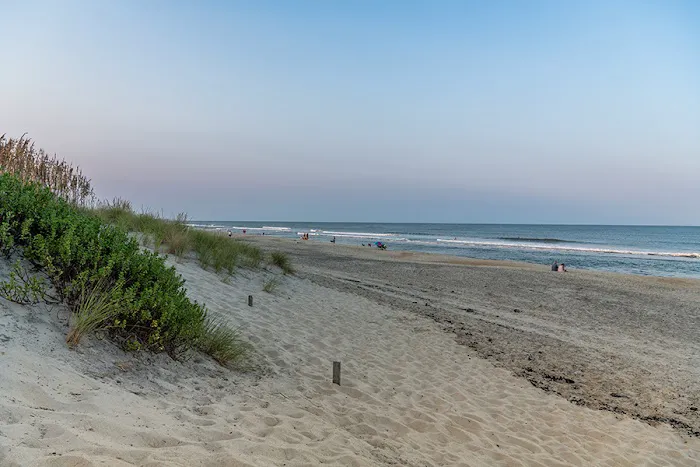 Cape Hatteras / Outer Banks KOA Resort Picture 5