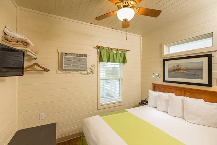 Cape Hatteras / Outer Banks KOA Resort Picture 8