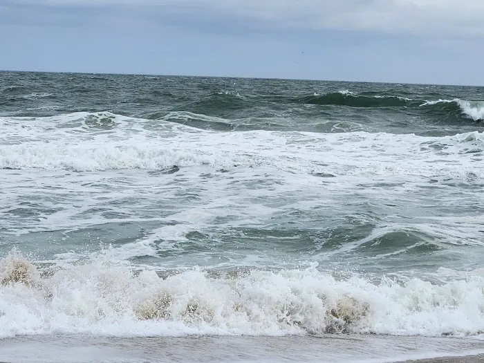 Oregon Inlet Campground Picture 9