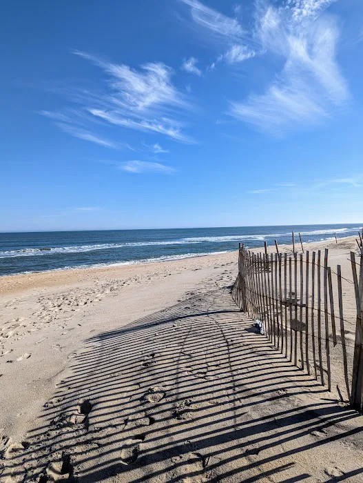 Oregon Inlet Campground Picture 2