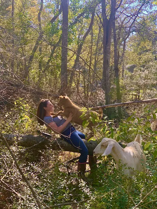 Snow White Sanctuary - Campground Picture 4