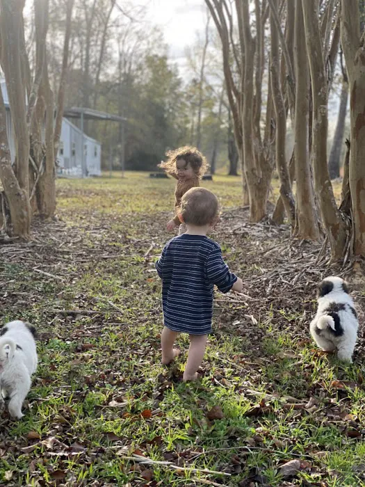 Snow White Sanctuary - Campground Picture 3